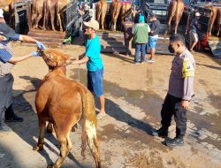 Pasar Hewan Dimoro, Belum Ditemukan Kasus PMK