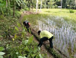 Jaga Kelancaran Pasokan Air, Babinsa Plandirejo Dan Warga Turun Tangan Bersihkan Irigasi