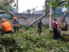 Anggota Koramil 0808/06 Srengat Bersama Warga, Polsek Dan BPBD Gotong Royong Bersihkan Pohon Tumbang Di Desa Purwokerto