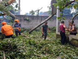 Anggota Koramil 0808/06 Srengat Bersama Warga, Polsek Dan BPBD Gotong Royong Bersihkan Pohon Tumbang Di Desa Purwokerto