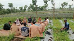 Pembangunan KDKMP Desa Sempu Mendapat Apresiasi Warga: Upaya Penguatan Ekonomi Desa.