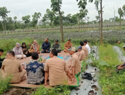 Pembangunan KDKMP Desa Sempu Mendapat Apresiasi Warga: Upaya Penguatan Ekonomi Desa.