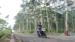 TMMD ke-127 Kodim 0809/Kediri Bangun Jalan Tembus 1,657 Meter, Progres 60 Persen