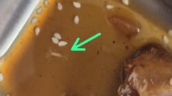 Diduga Ada Belatung dalam Menu MBG, LSM Gerak Indonesia Soroti Kualitas Program