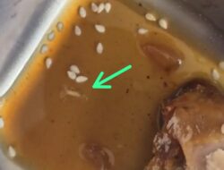 Diduga Ada Belatung dalam Menu MBG, LSM Gerak Indonesia Soroti Kualitas Program