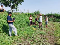 Tanam Pohon Mahoni Babinsa Sananwetan Bersama Poktan Rahayu, Cegah Erosi Dan Dukung Ketahanan Pangan