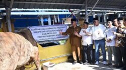 Pemerintah Kabupaten Nias Bagikan Hewan Kurban, Berikut Pesan Sekretaris Daerah
