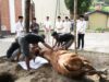 Polres Kediri Kota Tebar Kepedulian di Idul Adha 1447 H, Salurkan 10 Sapi dan 8 Kambing Qurban