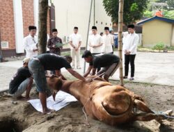 Polres Kediri Kota Tebar Kepedulian di Idul Adha 1447 H, Salurkan 10 Sapi dan 8 Kambing Qurban