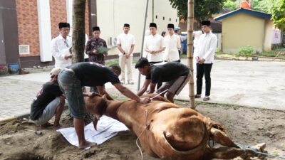 Polres Kediri Kota Tebar Kepedulian di Idul Adha 1447 H, Salurkan 10 Sapi dan 8 Kambing Qurban