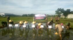 Polri Hadir di Tengah Petani, Percepatan Tanam di Kaliombo Perkuat Ketahanan Pangan