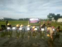 Polri Hadir di Tengah Petani, Percepatan Tanam di Kaliombo Perkuat Ketahanan Pangan