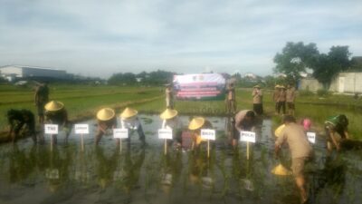 Polri Hadir di Tengah Petani, Percepatan Tanam di Kaliombo Perkuat Ketahanan Pangan