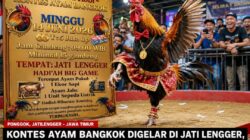 Sabung Ayam di Jatilengger Ponggok Blitar  Berlangsung Terbuka, Terkesan Di Biarkan.