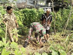 Lestarikan Alam, Babinsa Sidomulyo Sertu Deny Bersama Warga Gelar Aksi Tanam Pohon