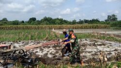 Perrcepat Masa Tanam, Babinsa Sumberingin Kopda Nizar Dampingi Petani Membajak Sawah