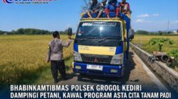 Bhabinkamtibmas Polsek Grogol Kediri Dampingi Petani, Kawal Program Asta Cita Tanam Padi