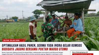 Optimalkan Hasil Panen, Serma Yuda Indra Gelar Komsos Budidaya Jagung Bersama Poktan Margo Utomo