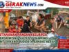 Ketahanan Pangan Keluarga, Serda Wisnu Sulistyo Dampingi KWT Srikandi Budidaya Bawang Merah