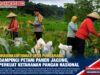 Bhabinkamtibmas Desa Puhsarang Dampingi Petani Panen Jagung, Perkuat Ketahanan Pangan Nasional