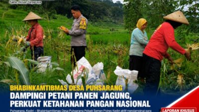 Bhabinkamtibmas Desa Puhsarang Dampingi Petani Panen Jagung, Perkuat Ketahanan Pangan Nasional