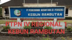 Ketua JMSI Sergai – Tebing Tinggi Soroti Dugaan Penyimpangan dan Penyelewengan Anggaran Bidang Kehumasan di PTPN IV Kebun Rambutan