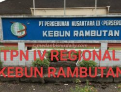 Ketua JMSI Sergai – Tebing Tinggi Soroti Dugaan Penyimpangan dan Penyelewengan Anggaran Bidang Kehumasan di PTPN IV Kebun Rambutan