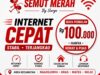 PT Komando Semut Merah Melebarkan Sayap ke Bisnis Internet, Buka Peluang Kemitraan untuk BUMDes dan Masyarakat.