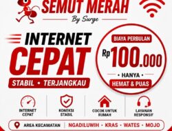 PT Komando Semut Merah Melebarkan Sayap ke Bisnis Internet, Buka Peluang Kemitraan untuk BUMDes dan Masyarakat.
