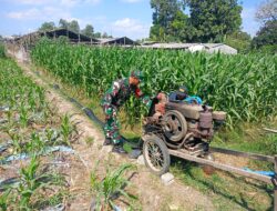 Sinergi TNI Dan Petani Babinsa Purwokerto Pastikan Pasokan Air Lahan Jagung Dusun Tumpuk Optimal