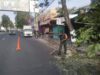 Antisipasi Pohon Tumbang Di Musim Pancaroba, Babinsa Sukorejo Bersinergi Dengan DLH Kota Blitar