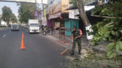 Antisipasi Pohon Tumbang Di Musim Pancaroba, Babinsa Sukorejo Bersinergi Dengan DLH Kota Blitar