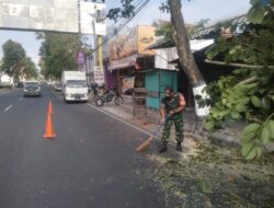 Antisipasi Pohon Tumbang Di Musim Pancaroba, Babinsa Sukorejo Bersinergi Dengan DLH Kota Blitar