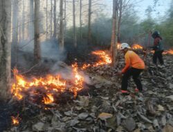 Cepat Tanggap, Babinsa Koramil Sutojayan Bersama Tim Gabungan Berhasil Padamkan Karhutla 2 Hektar Di Blitar