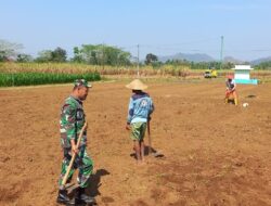 Dukung Ketahanan Pangan Nasional, Babinsa Selorejo Dampingi Petani Siapkan Lahan Tanam Jagung di Desa Boro