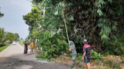 Babinsa Koramil Gandusari Bersama Warga Gotong Royong Bersihkan Lingkungan Demi Keselamatan Bersama