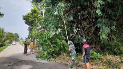 Babinsa Koramil Gandusari Bersama Warga Gotong Royong Bersihkan Lingkungan Demi Keselamatan Bersama