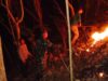 Aksi Sigap Babinsa Dan Warga Padamkan Kebakaran Hutan Jati Di Pagerwojo Blitar