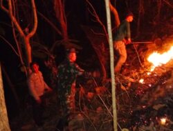 Aksi Sigap Babinsa Dan Warga Padamkan Kebakaran Hutan Jati Di Pagerwojo Blitar
