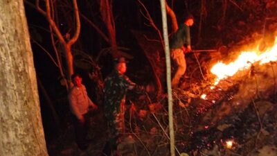 Aksi Sigap Babinsa Dan Warga Padamkan Kebakaran Hutan Jati Di Pagerwojo Blitar