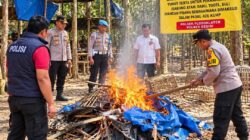 Ormas Satu Darah Apresiasi Tindakan Polsek Plosoklaten Polres Kediri Bongkar Arena Sabung Ayam.