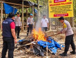 Ormas Satu Darah Apresiasi Tindakan Polsek Plosoklaten Polres Kediri Bongkar Arena Sabung Ayam.