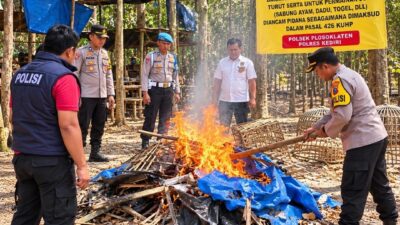 Ormas Satu Darah Apresiasi Tindakan Polsek Plosoklaten Polres Kediri Bongkar Arena Sabung Ayam.