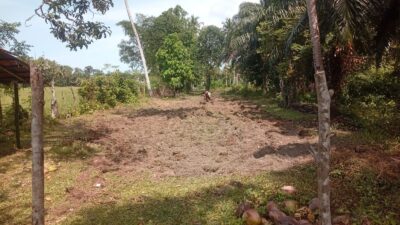 IMG 20261004 WA0108