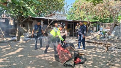 Polsek Waru Bongkar Arena Sabung Ayam di Bungurasih Utara