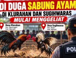 Lapor Pak Kapolres Nganjuk! Sabung Ayam di Klurahan dan Sugihwaras Di Duga Mulai Menggeliat.