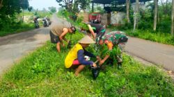 Jaga Kelestarian Lingkungan, Babinsa Ngadirejo Bersama Warga Gotong Royong Tanam Pohon Saman Dan Trembesi