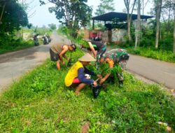 Jaga Kelestarian Lingkungan, Babinsa Ngadirejo Bersama Warga Gotong Royong Tanam Pohon Saman Dan Trembesi