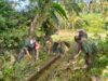 Wujud Kemanunggalan TNI Dan Rakyat, Babinsa Kedungbanteng Bersama Warga Gotong Royong Bersihkan Irigasi Sawah